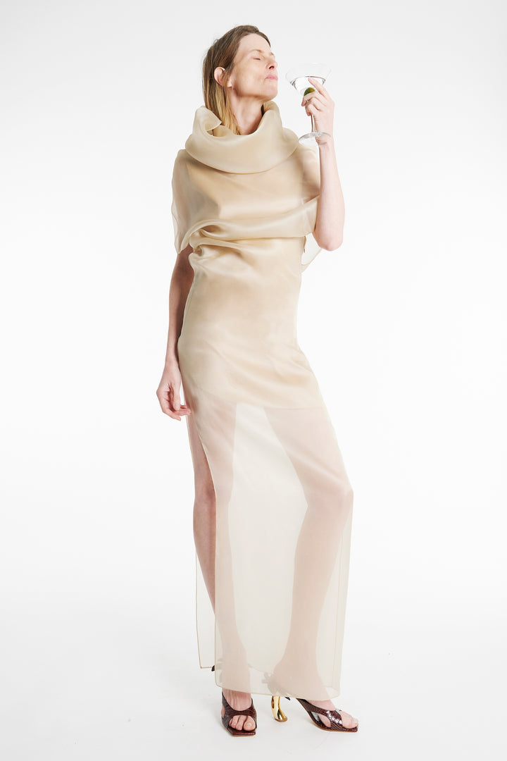 Organza Dress Champagne