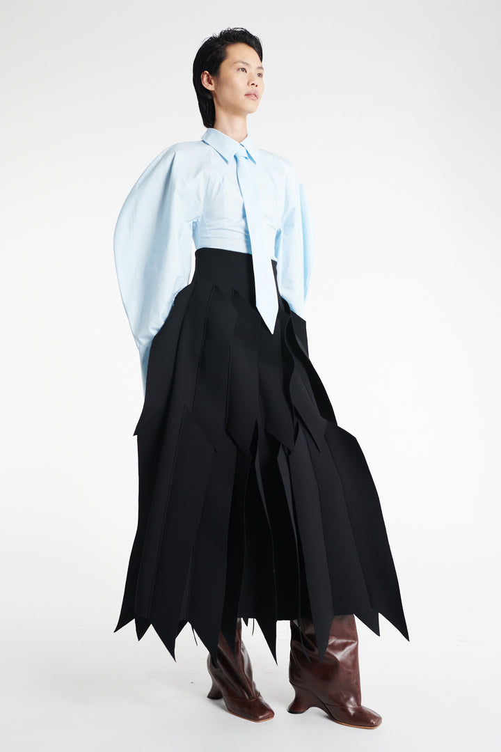 Skirt With Panel Applique Black