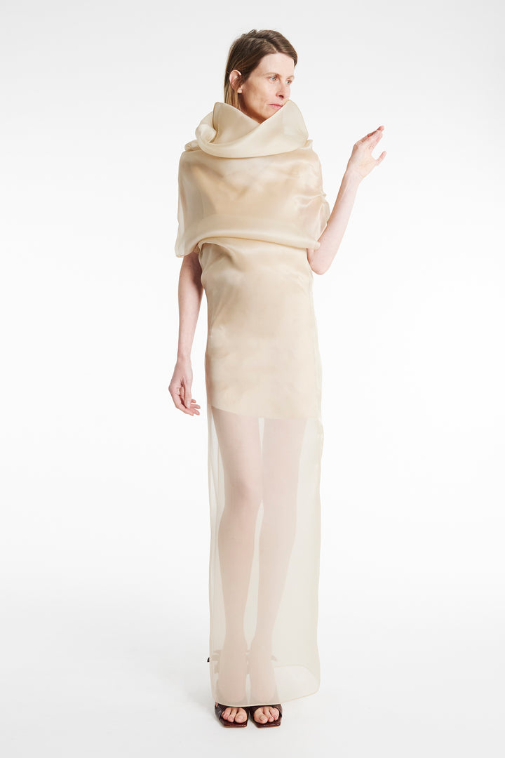 Organza Dress Champagne