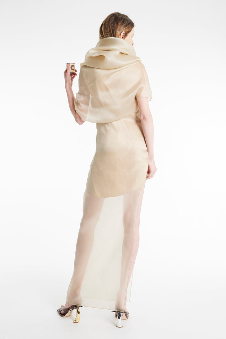 Organza Dress Champagne