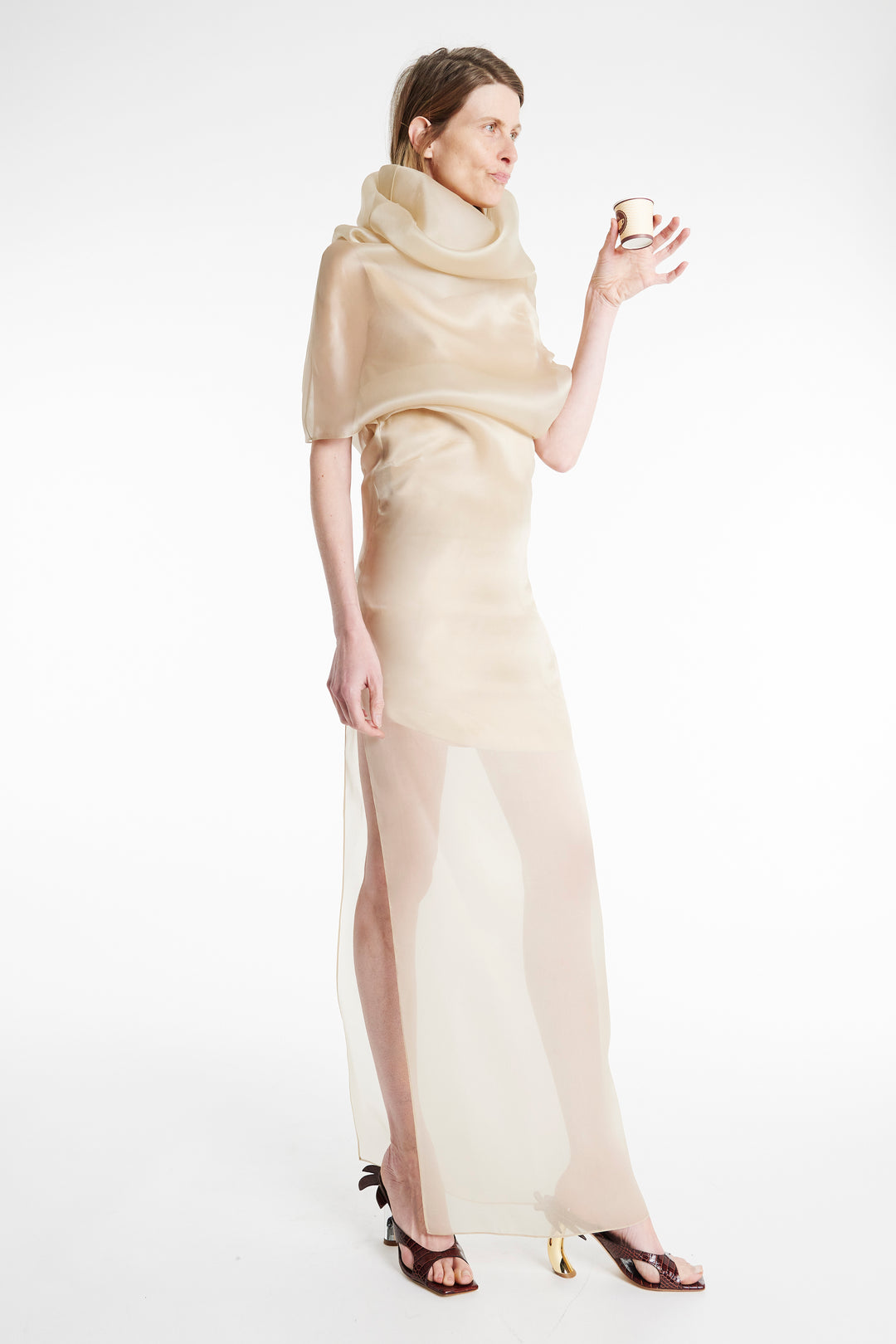 Organza Dress Champagne
