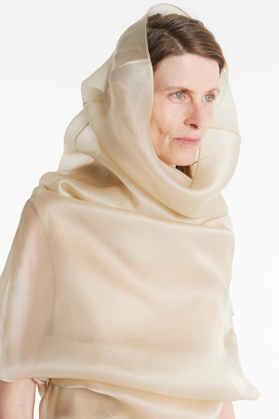 Organza Dress Champagne