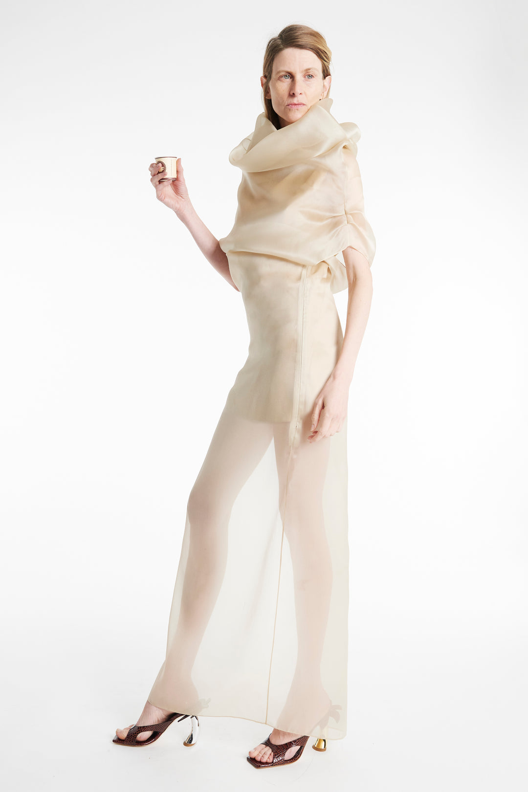 Organza Dress Champagne